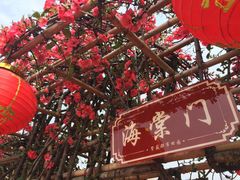 -武汉紫薇都市田园