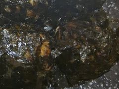 -冰川延边料理·炭烤串(原小木屋店)