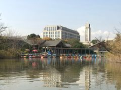 -吴淞炮台湾湿地森林公园烧烤区