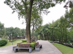 -重庆市江北嘴中央商务区中央公园