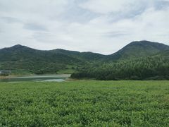 -嵛山岛