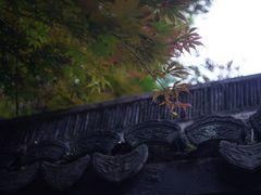 -韬光茶庵