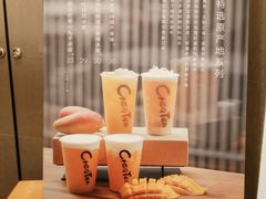 -去茶山