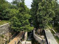 -白水寺森林公园