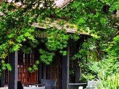 -中国茶叶博物馆(双峰馆区)