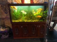 -疆文化新疆欢乐餐厅(金牛万达店)