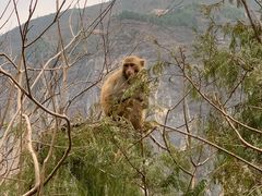 -白帝城·瞿塘峡景区