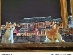 -西塘人家•黑金冠本地好店