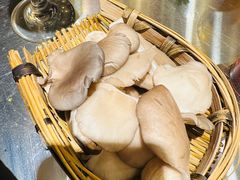 平菇-朱光玉火锅馆(正弘城店)