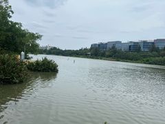 -华侨城湿地公园