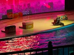 -上海海昌海洋公园