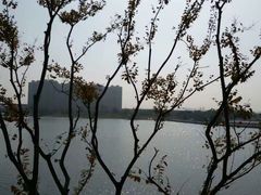 -翠山·映月湖景餐厅(映月湖公园店)