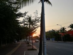 -龙泉人椰子鸡.糟粕醋.海南菜(三亚旗舰店)