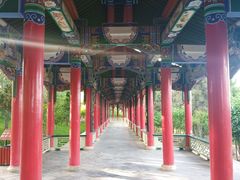 -兰山公园