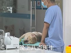 -谐和贝康宠物医院24小时·宠保定点(急重症转诊中心)