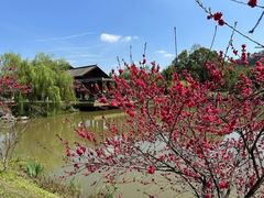 -常德桃花源景区