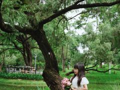 -人民公园(罗湖区)