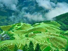-龙脊梯田