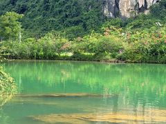 -靖西鹅泉风景区