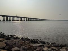 -宝安西湾红树林湿地公园