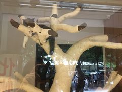 -袖虎·猫馆(体育西路店)
