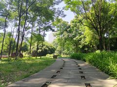 -重庆彩云湖湿地公园