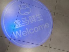 -盒马鲜生(莱蒙都会店)