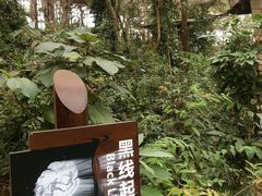 -芦仙山景区-飞越丛林探险乐园