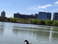 -北京园博大酒店