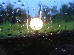 iphone_upload_pic-向日葵咖啡(太平路店)