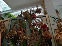 -小时光咖啡馆(北锣鼓巷店)