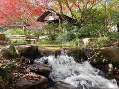 -中国茶叶博物馆(双峰馆区)