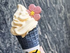 -麦当劳(北方新天地店)