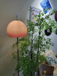 -变美丽半永久纹眉连锁·机器野生眉•洗眉