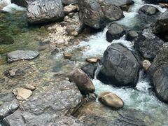 -石台牯牛降景区