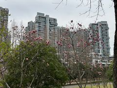 -白塘生态植物园