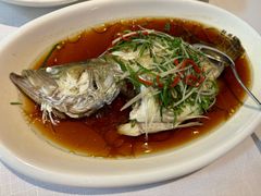 -老吉士酒家(天平路店)