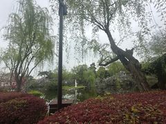 -无锡蠡湖国家湿地公园-蠡园