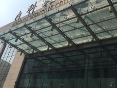 -中国人民解放军总医院(301医院)