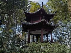 -杭州黄龙洞
