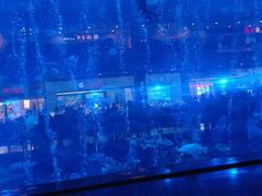 -成都浩海立方海洋公园