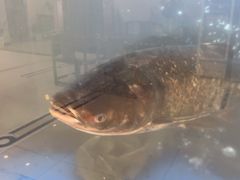 -香山湖渔家大院