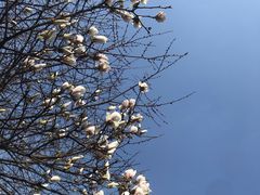 -四川大学(华西校区)