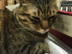 -么凤(波斯富街店)