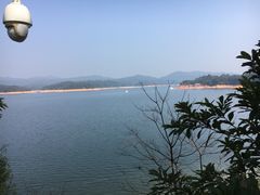 -广州市流溪河国家森林公园