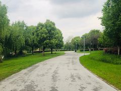 -九里河湿地公园