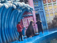 -华夏文旅海洋公园