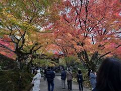 -常寂光寺