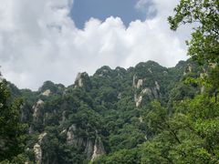 -王顺山国家森林公园