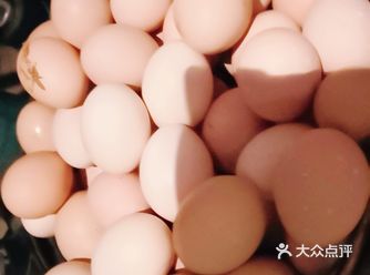 与肉鸡大大的不提一样，。喜欢田园生活。信阳到北京